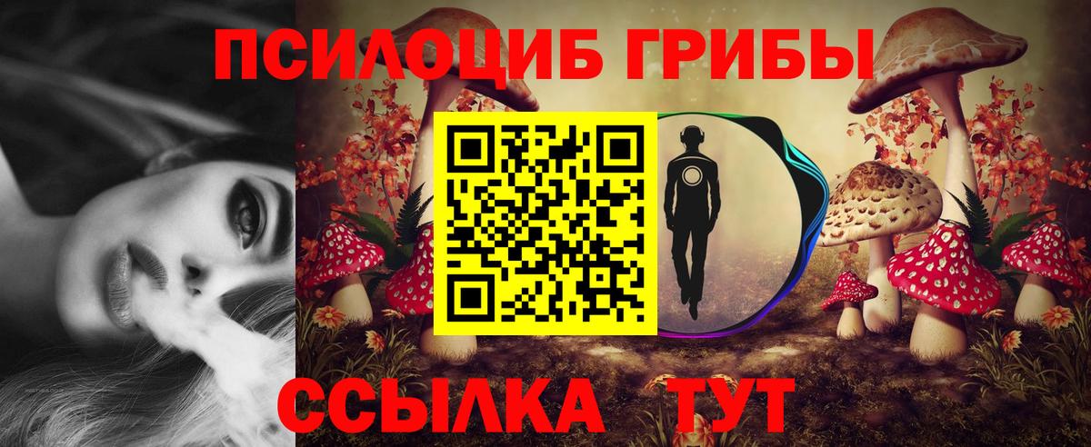Галлюциногенные грибы Psilocybine cubensis  что такое наркотик  Кемерово  Псилоцибиновые грибы MAGIC MUSHROOMS  Вход с VPN 